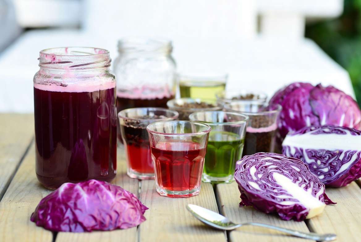 Red cabbage juice pH test showing color changes for soil acidity testing at home