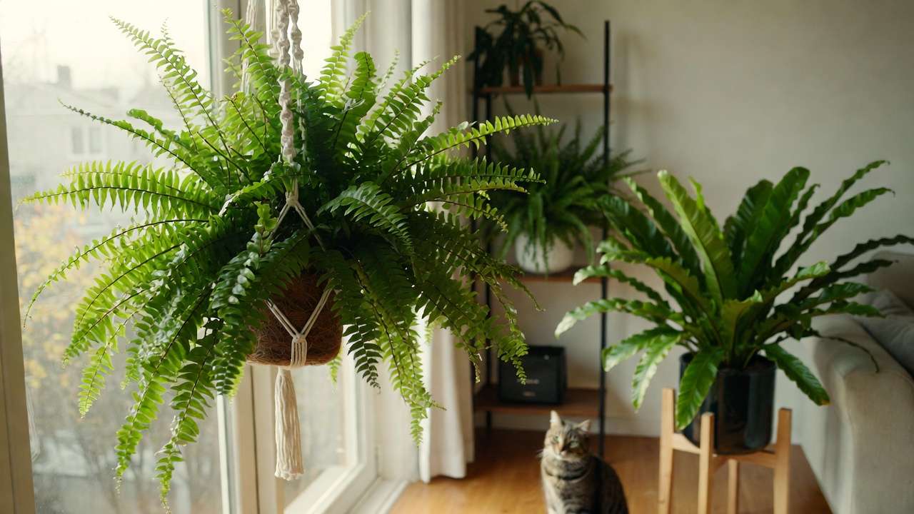 Place this image at the beginning of the styling ideas section.