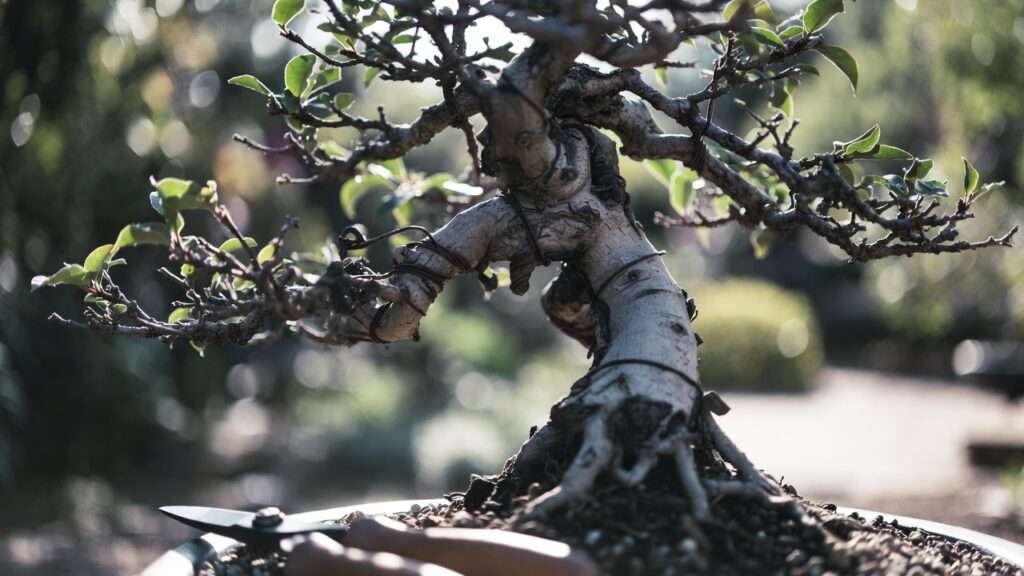 advanced wiring shapes and spirals