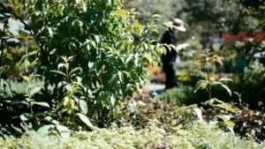 assessing your home’s microclimates