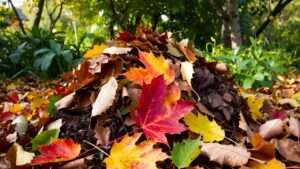 autumn leaf composting method