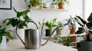 best watering can features for indoor use