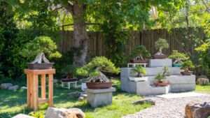 bonsai display stands for outdoor gardens