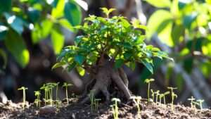bonsai fusion: fusing multiple seedlings