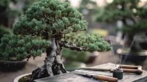 branch selection and removal in bonsai