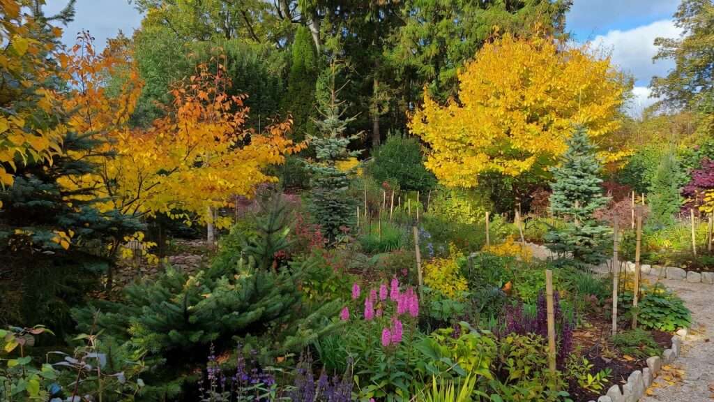 four-season garden design basics