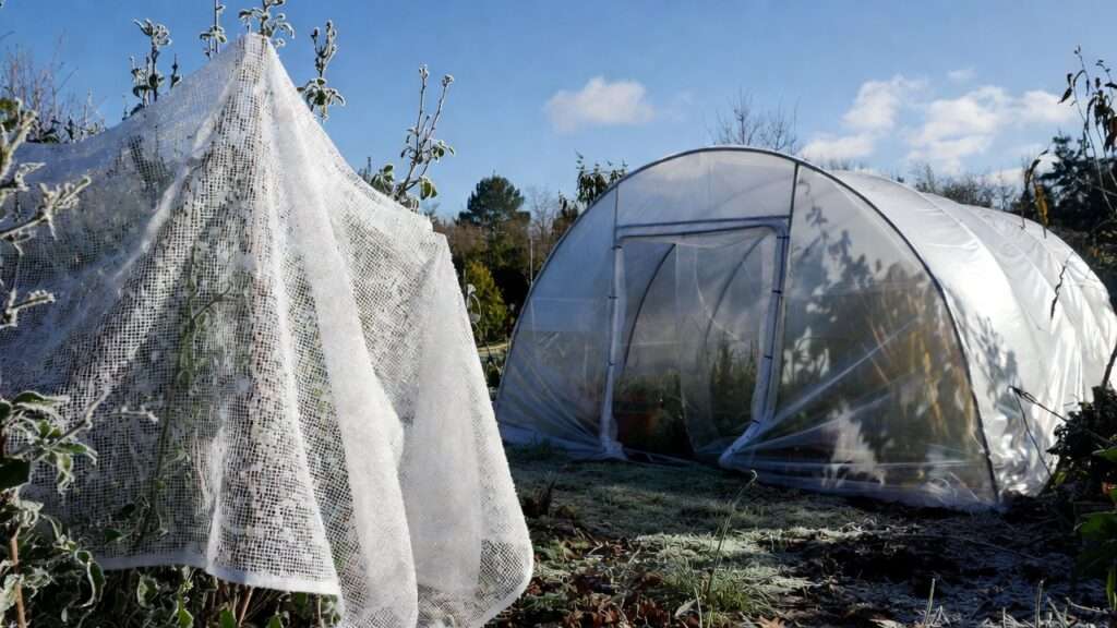 frost cloth vs. plastic cover for cold snaps