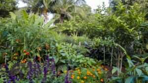 interplanting strategies for maximum yield