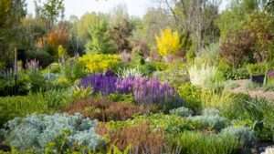 managing perennial beds through the seasons