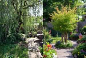 managing tree size with coppicing