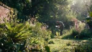 microclimate mapping in your yard