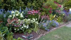 planning perennial blooms for every season