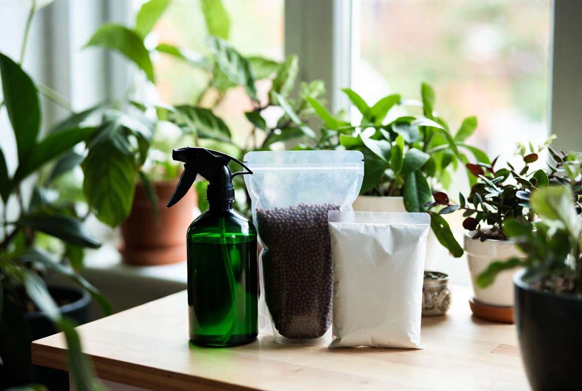 Best balanced fertilizers for indoor plants including organic and liquid options