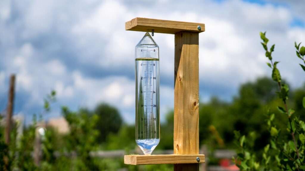 rain gauge tracking for irrigation adjustments