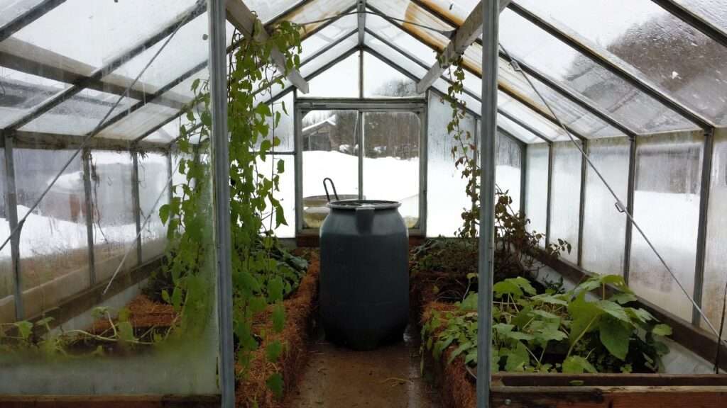 thermal mass in greenhouses for winter