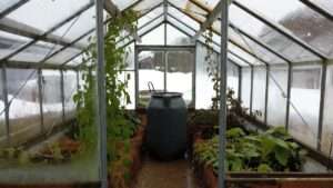 thermal mass in greenhouses for winter