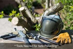 tools needed for safe pollarding