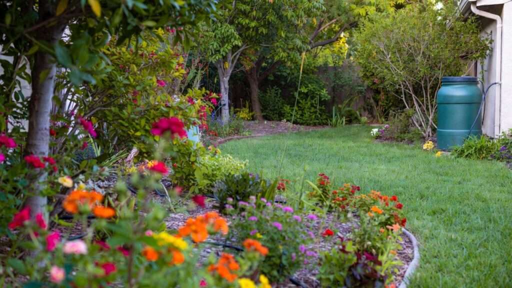 water conservation during drought restrictions