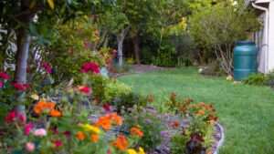 water conservation during drought restrictions