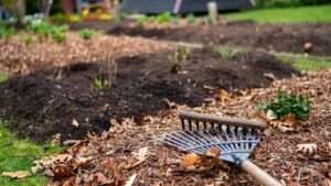 winterizing annual flower beds