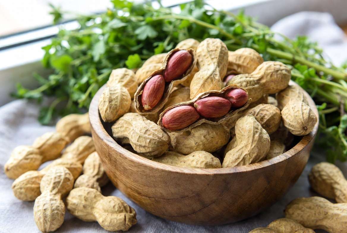 Fresh homegrown peanuts ready for roasting and eating