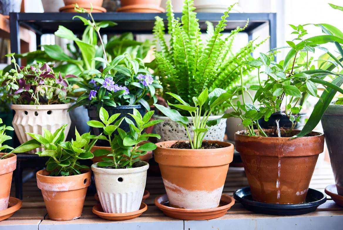 Expert Tips & Common Mistakes to Avoid