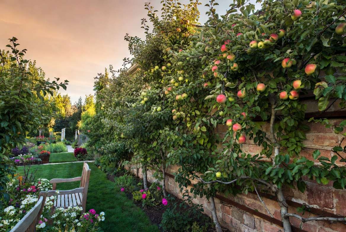 Real-Life Success Stories & Case Studies