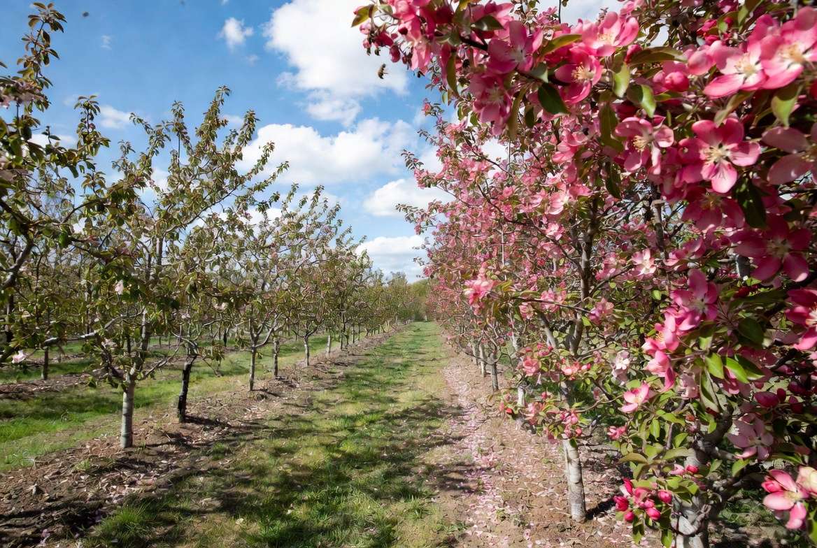 Real-World Case Studies & Success Stories