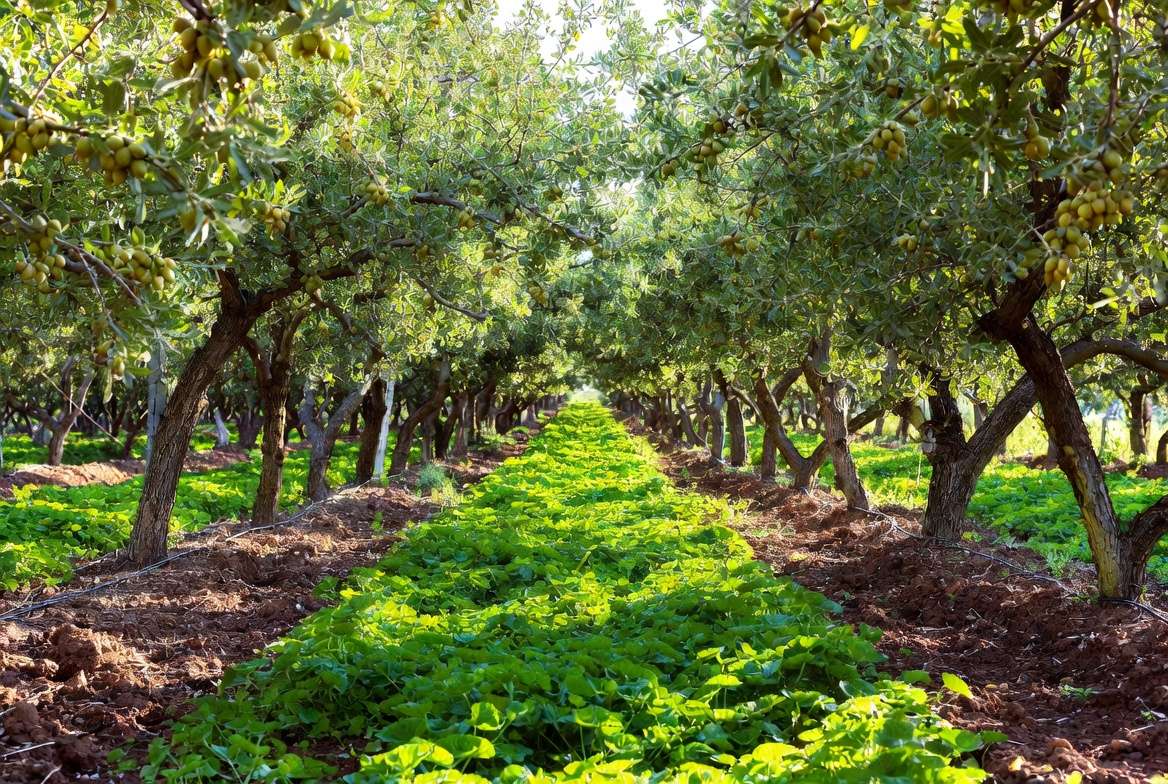 Real-World Success Stories and Case Studies