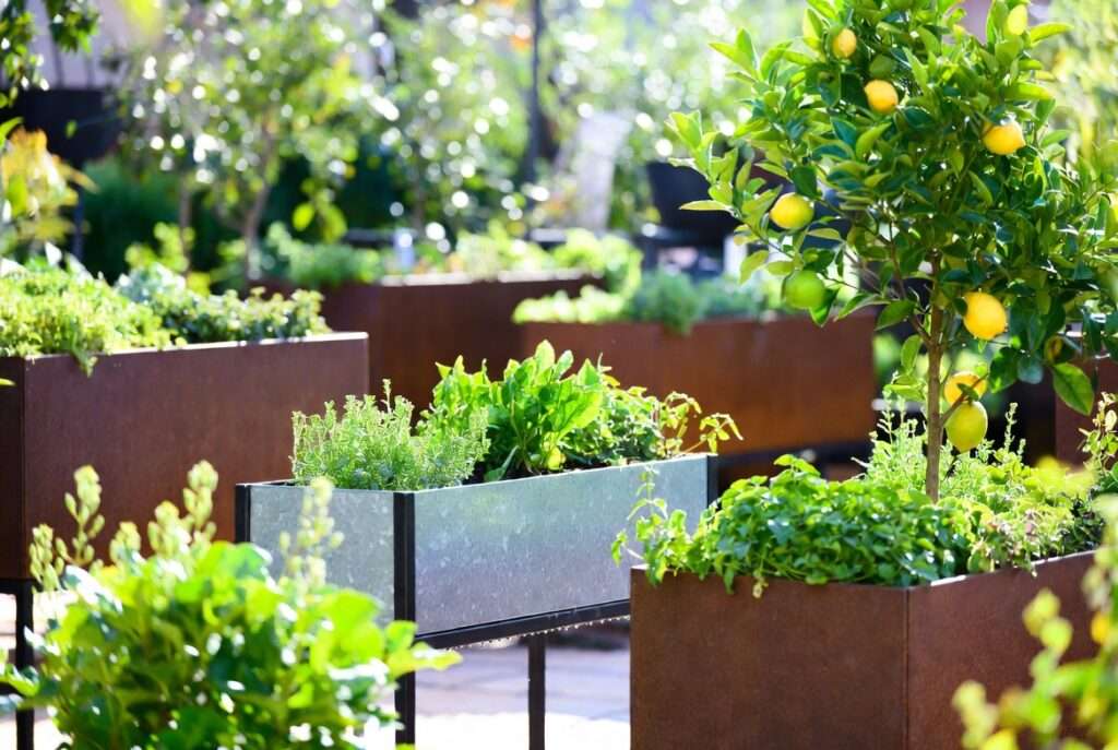 metal planter boxes