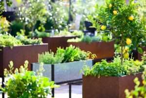 metal planter boxes
