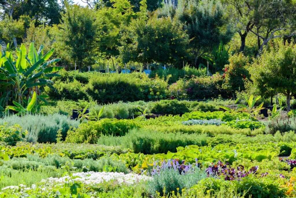 multi-tier orchard design for diverse crops