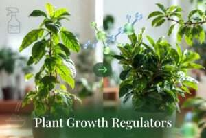 plant growth regulators