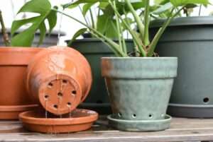 plant pots with drainage