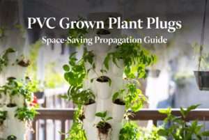 pvc grown plant plugs