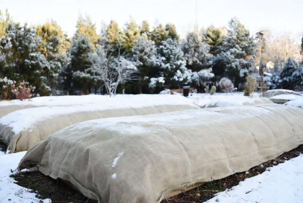 rolling winter covers to prevent soil erosion