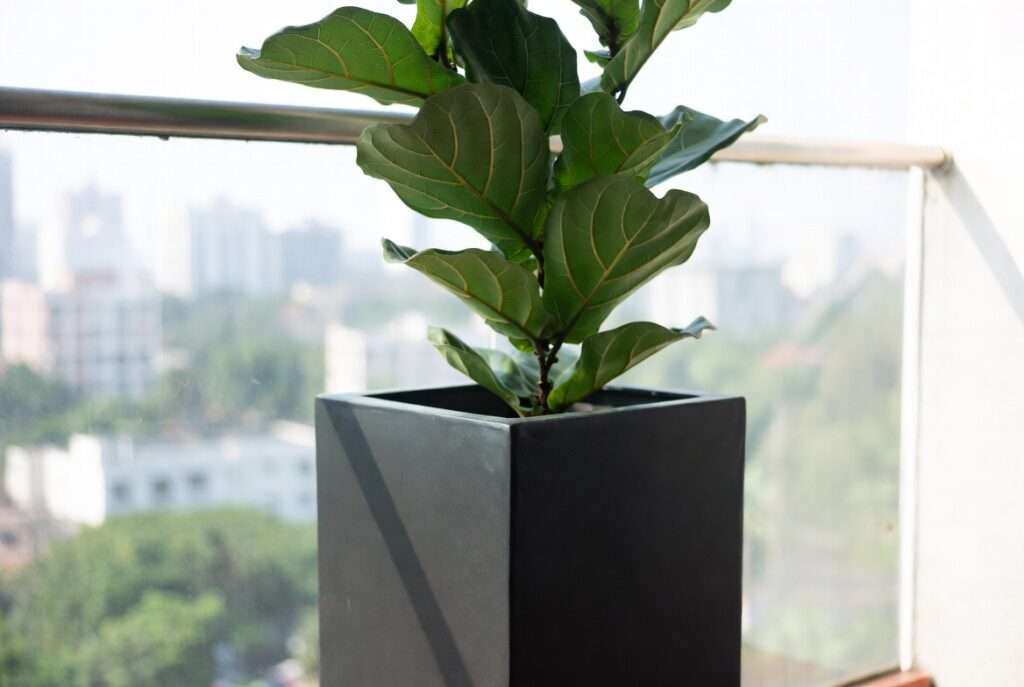 tall rectangular planter