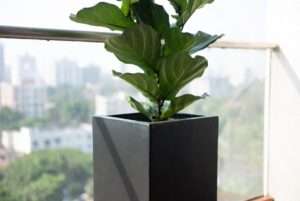 tall rectangular planter