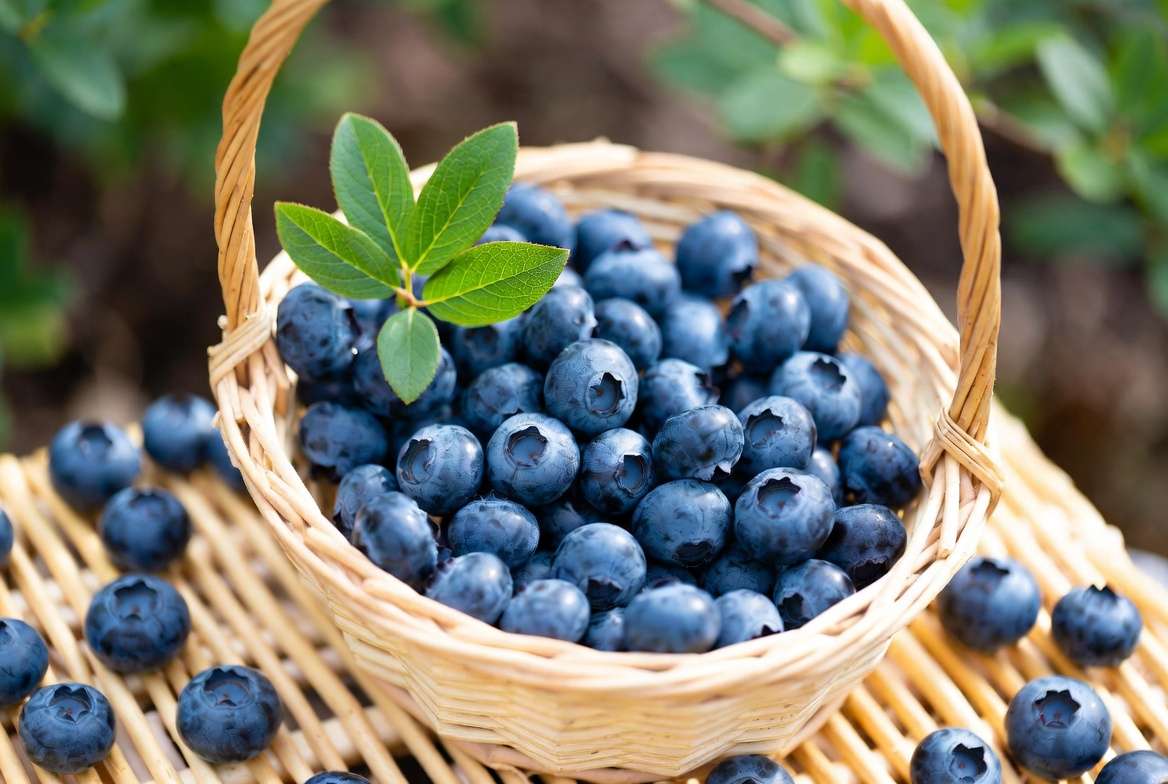 berry