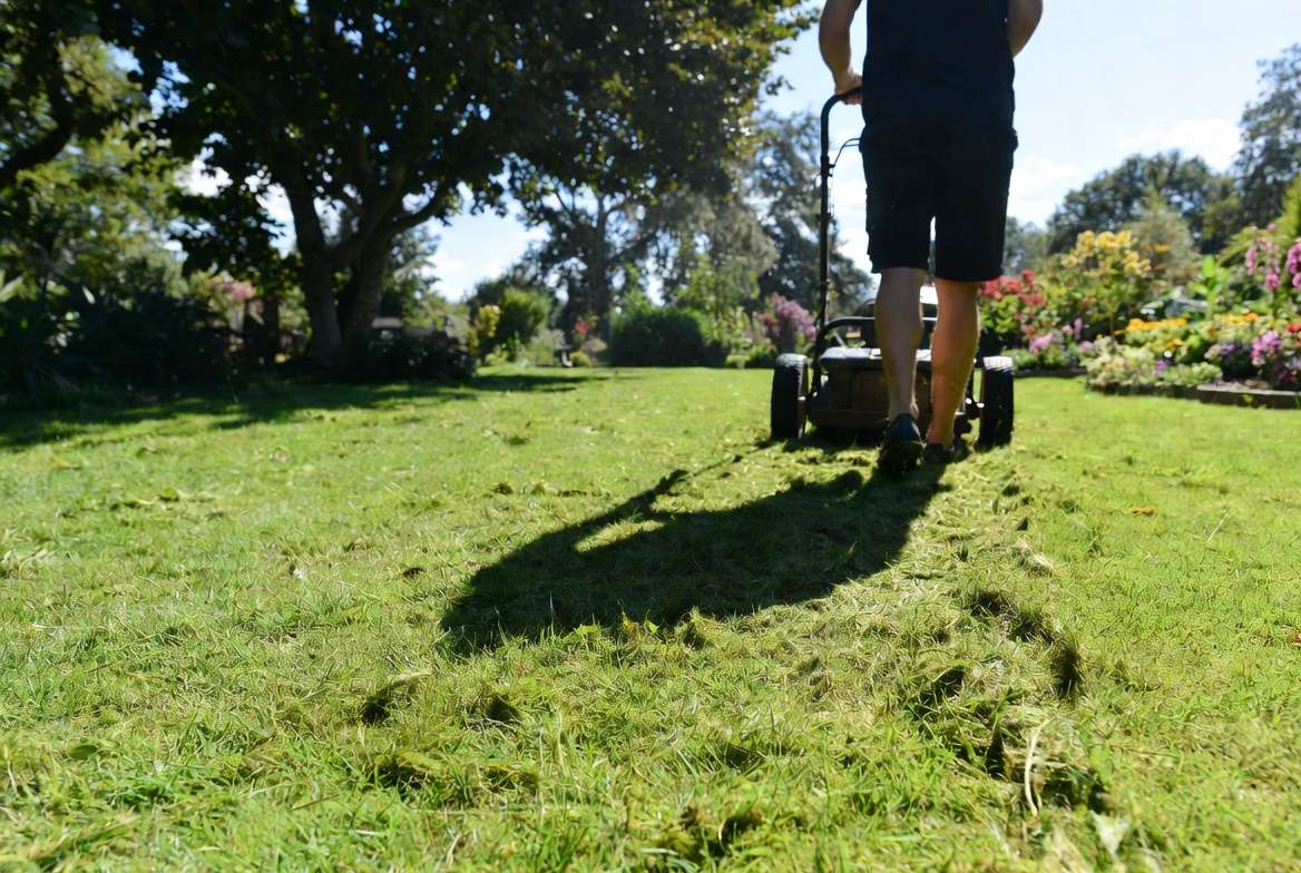 Proper lawn aftercare and maintenance for new grass