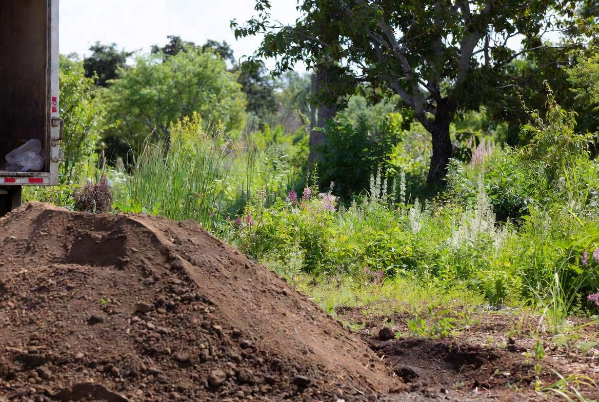 Sustainable bulk planting soil delivery for eco-friendly gardening and tree plantin