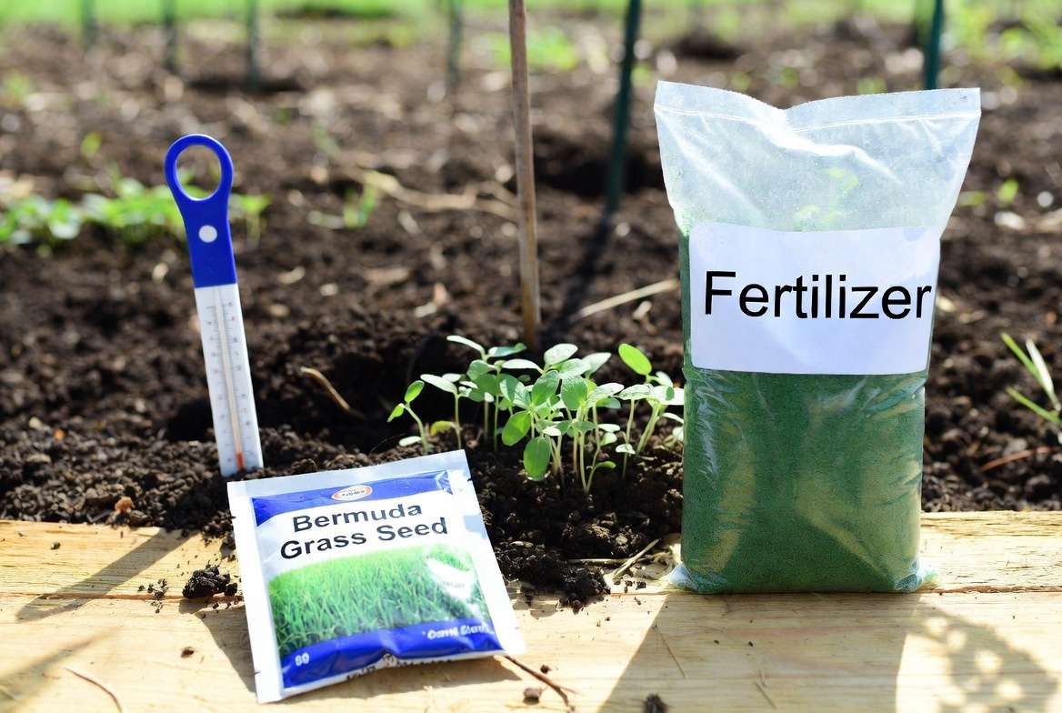 Essential tools and materials for successful Bermuda grass seed planting