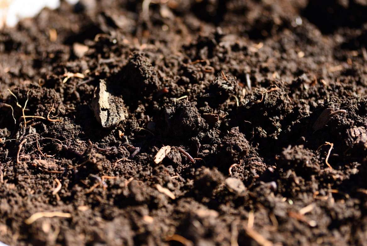 Close-up of high-quality bulk planting soil showing rich organic texture and component