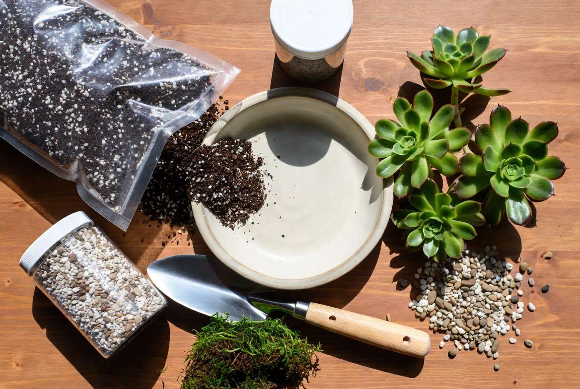 Materials and tools required to create a beautiful dish garden with succulents