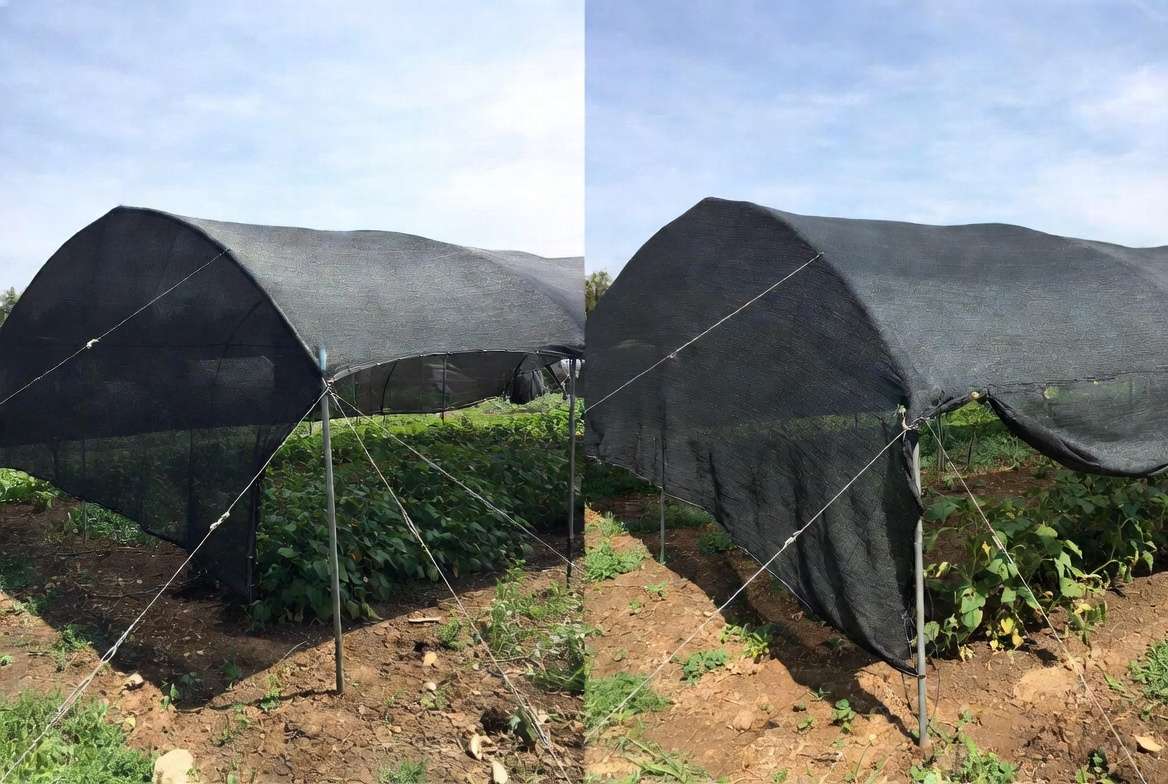 Common shading garden plants challenges and proper secure installation solutio