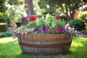 barrel wood planter