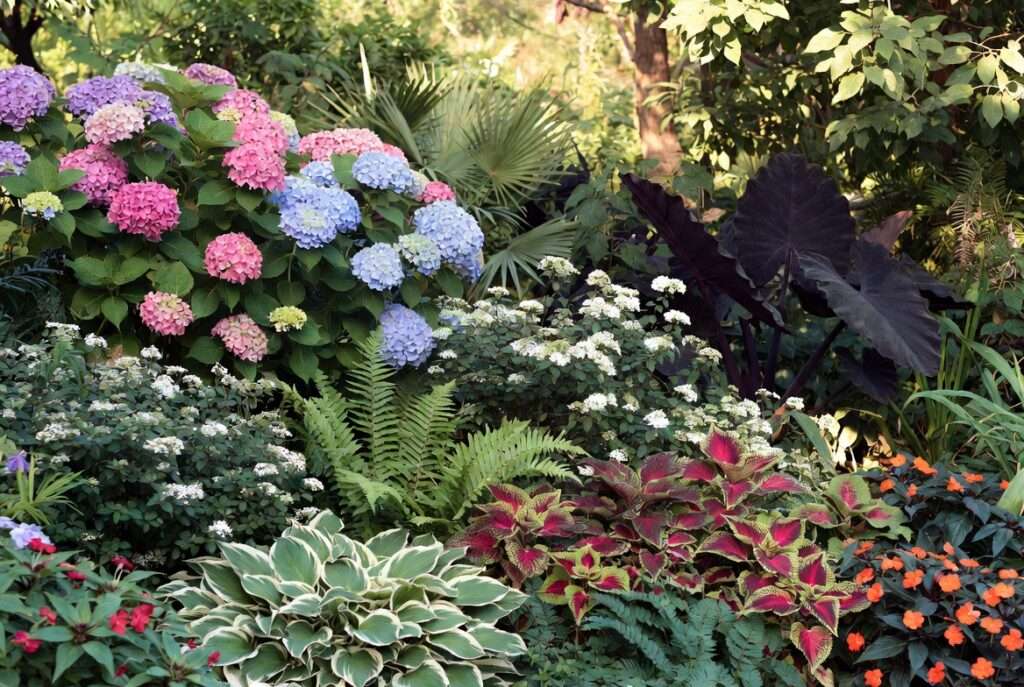partial sun plants