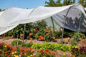 shading garden plants