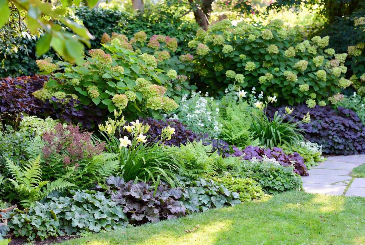reative layered garden design using best partly sun plants
