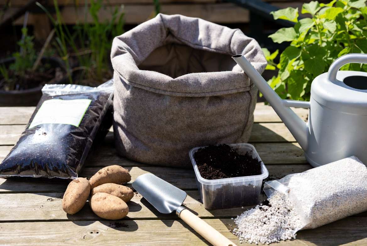 Supplies and materials needed to plant potatoes in containers